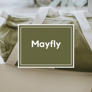 Trends Mayfly