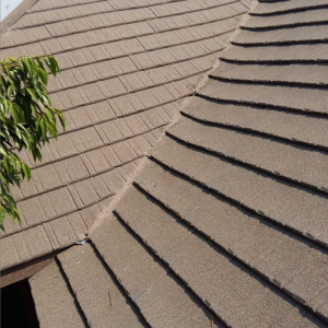 Rixile Roofing (12)