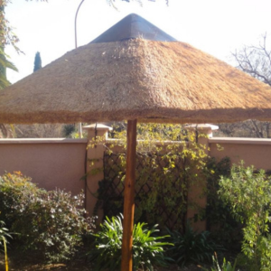 Africa Thatch (12)