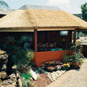 Africa Thatch (13)