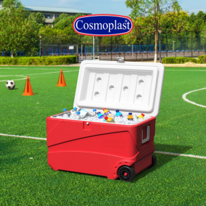 Cosmoplast11