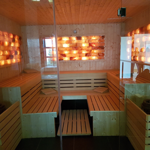 Wellness, Spa & Sauna (4)